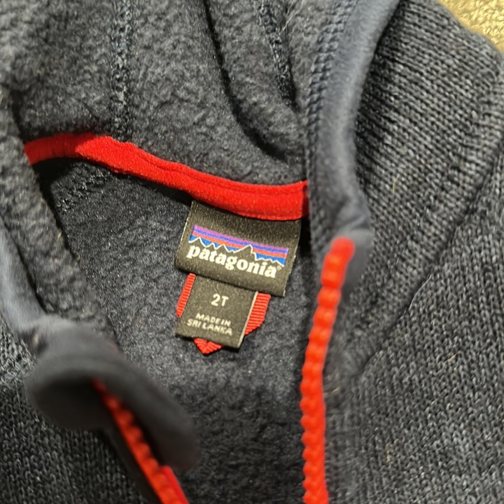 Patagonia Hoodie - Picture 2 of 3